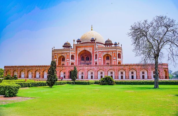 Delhi Private Old and New Delhi City Tour by Car with Entrance 