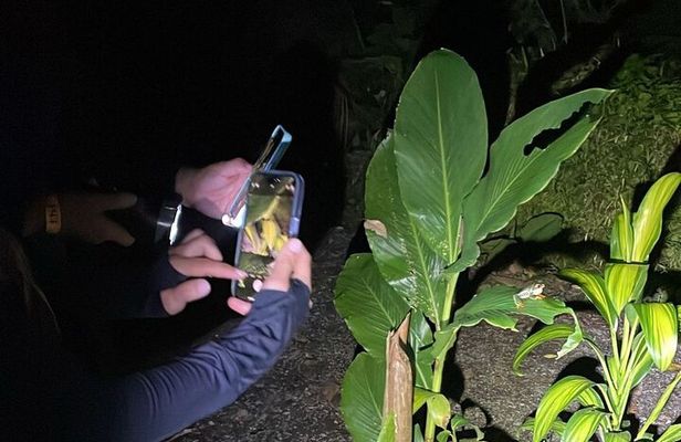 Night Tour at Bijagua Hidden Gems