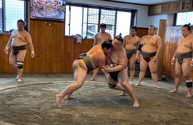 Tokyo Exciting Sumo pracice viewing and Modern Samurai Show tour