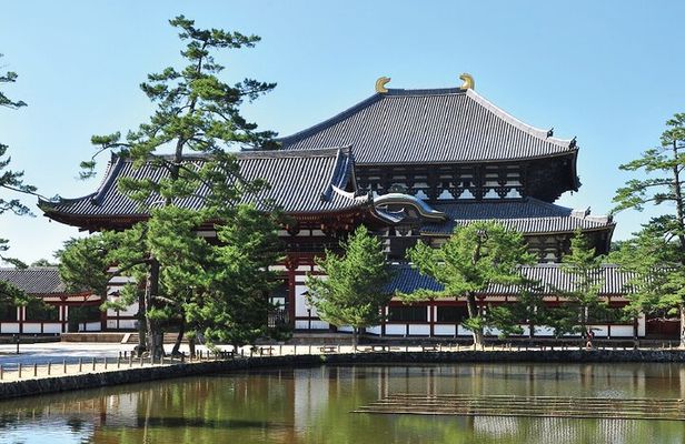 Private Customizable Nara Day Tour by Car from Osaka