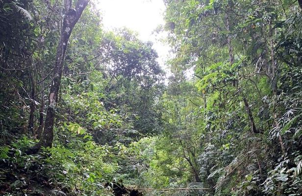 Vietnam Jungle Survival and Camping