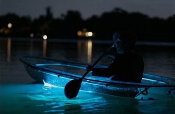 Clear Kayaks on BioBay