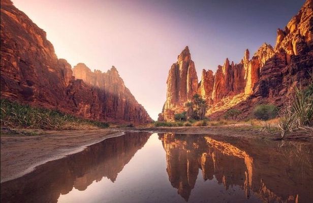 Wadi Al Disah Canyon Experience Scenic Day Tour from Tabuk