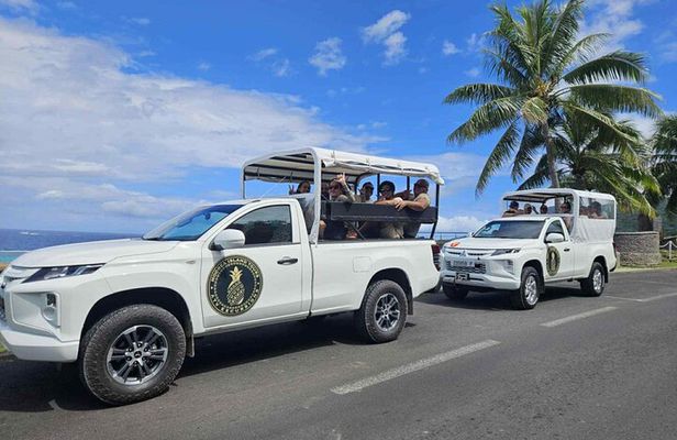 Safari 4x4 Adventure Tour in Moorea