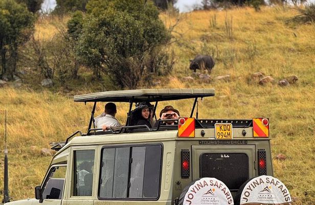 6-Day Safari to Masai Mara, Lake Nakuru, & Amboseli budget safari