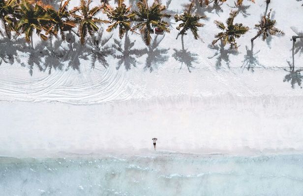 Bahamas, Nassau: Beach and Trail Horseback Riding 