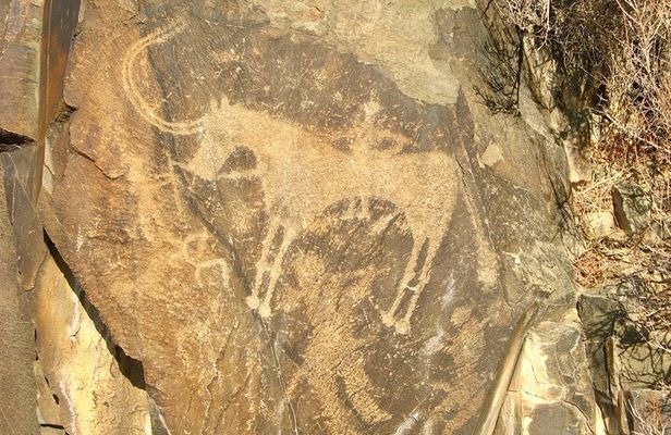 Tamgaly (Tanbaly) UNESCO Petroglyphs – Guided Cultural Day Tour