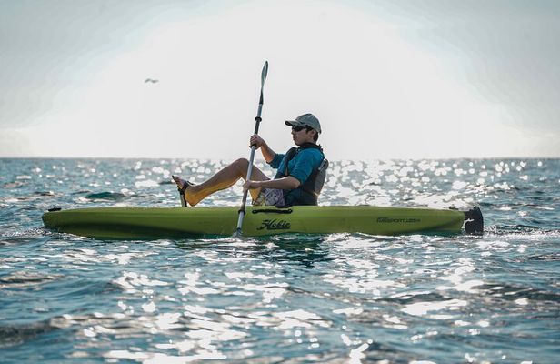 Kayak Tour in Quepos