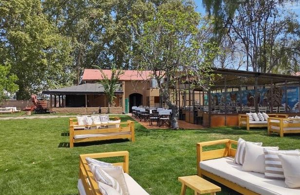 Maipu Wine Tour: 3 Wineries and Olive Oil Factory