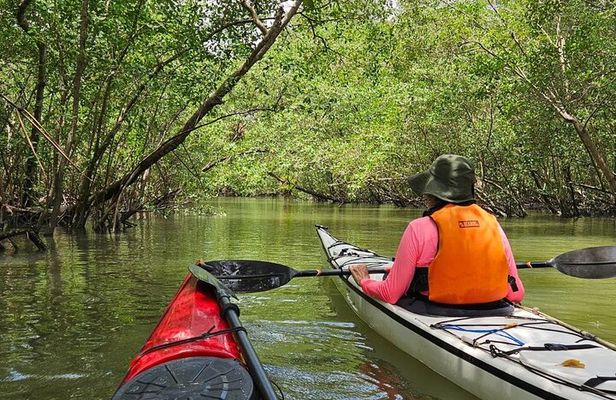 Kayaking Tour - Bay of Paraty & Manguezal