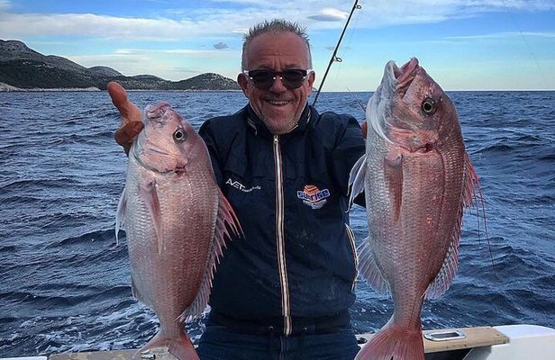 From Kotor: Fishing Experience in Kotor Bay
