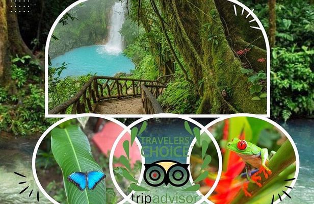 Private Rio Celeste Waterfalls Expedition Costa Rica