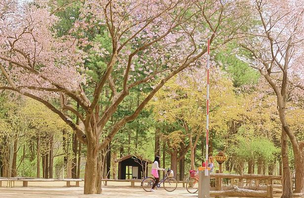 Nami island and Hanbok Wearing and Waterfall from Seoul