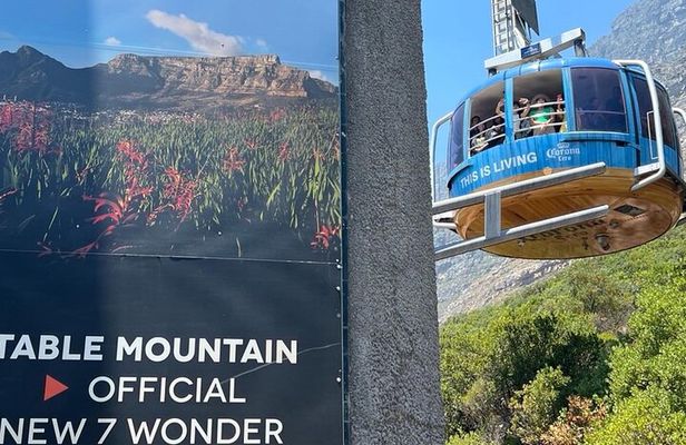 Table Mountain Half-Day Tour with Cable Way Experience
