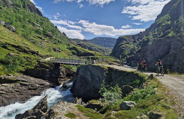 Explore Norway's Mountains (1 Day) by Electric Bicycle + Train