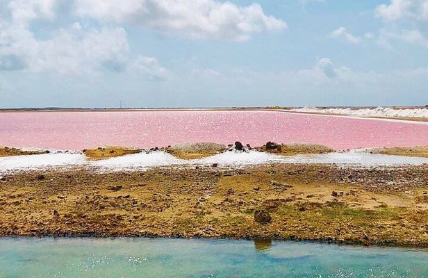 Bonaire Landscapes and Historical Shared Guided Tour 