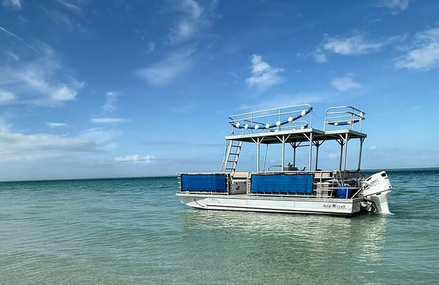 4 Hour Anna Maria Island Snorkeling and Sandbar Tour