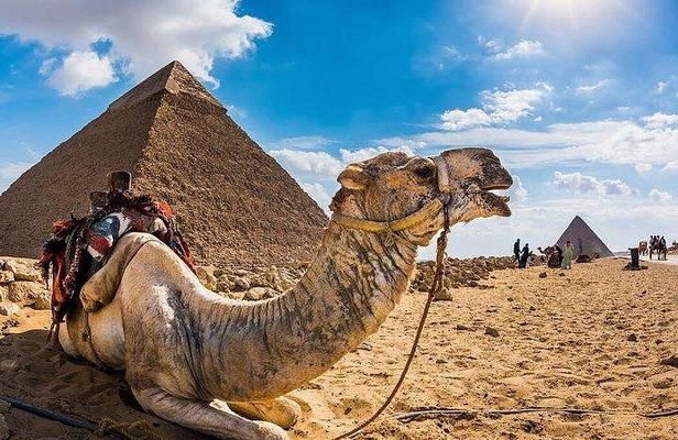Full day Pyramids of giza&Sphinx & free Camel Ride&Flucca& Lunch