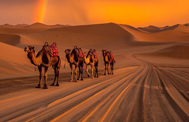 VIP Dubai Desert Red Dune Safari 4x4 Camel Ride BBQ Dinner Shows