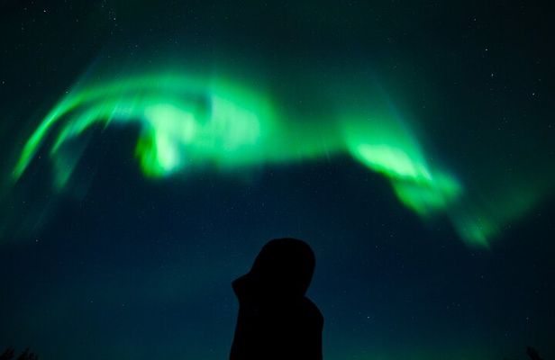 Rovaniemi: Guaranteed Northern Lights Group Tour - Photography 