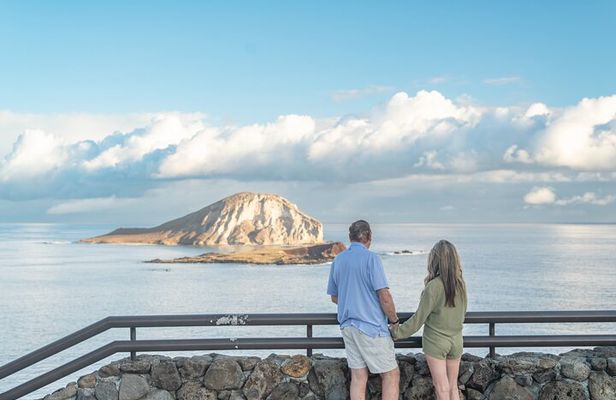 Full Day Private Professional Photo/Video Tour in Honolulu Island