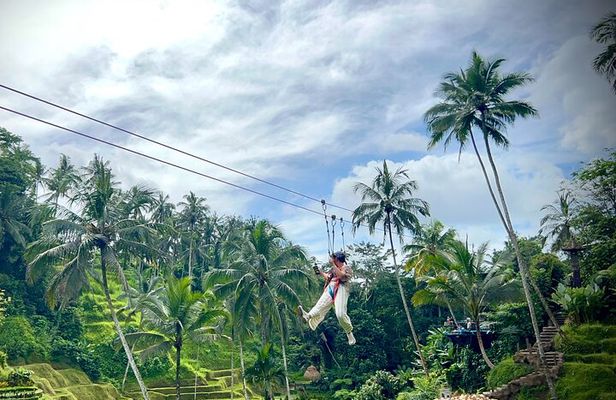Ubud Zipline,Alas Harum and Waterfall Tour with Private Car, Bali