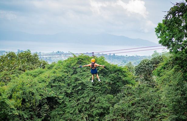 Tree Bridge Zipline Rainforest Canopy Experience from Koh Samui