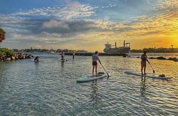 Peanut Island Sunrise Paddle Boarding Adventure