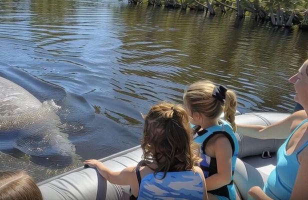 Dolphin and Manatee Boat Tour from Cocoa Beach and Port Canaveral
