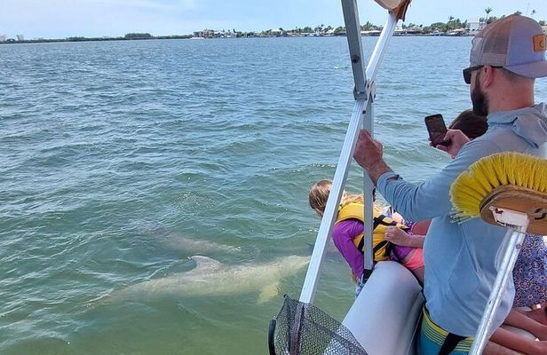 Dolphin and Manatee Boat Tour near Cocoa Beach and Port Canaveral