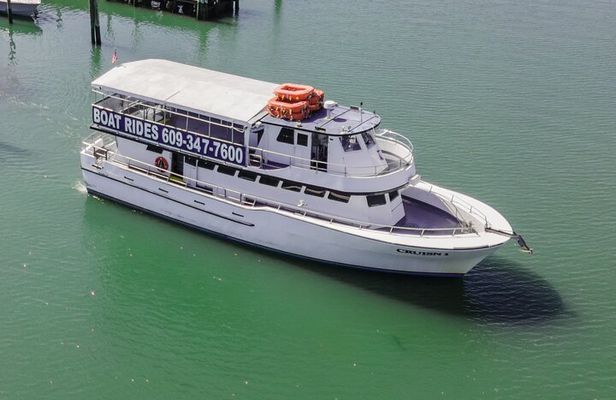 Dolphin Watching Adventure Cruise in Atlantic City