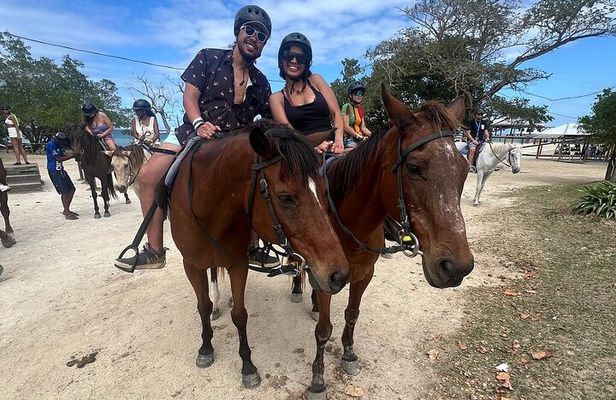 Horseback 'Ride N Swim' & Dunns River Falls from Montego Bay