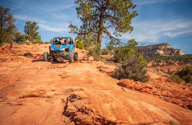 Zion UTV Adventure! You Drive!! 4 Hr UTV Tour