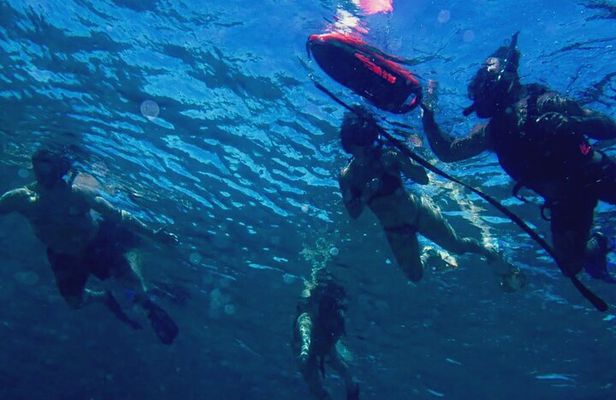 Shore Snorkeling