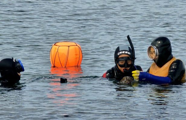 Jeju: Haenyeo Culture Experience with Seafood Tasting