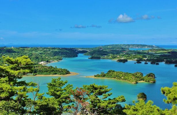 Matsushima: Scenic Bay Walk & Historic Temple Discovery