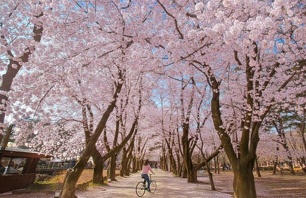 Nami island and Hanbok Wearing and Waterfall from Seoul