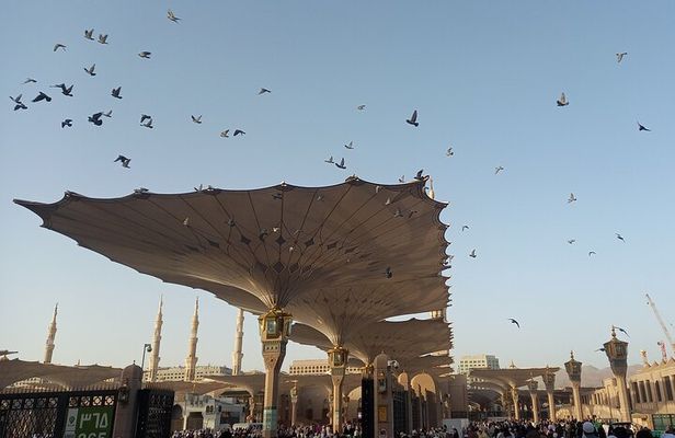 Private Guided Tour of Madinah Ziyarat
