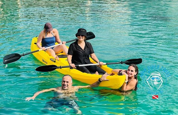 Norway of Arabia Full-Day Dhow Cruise | Telegraph Island&Dolphins