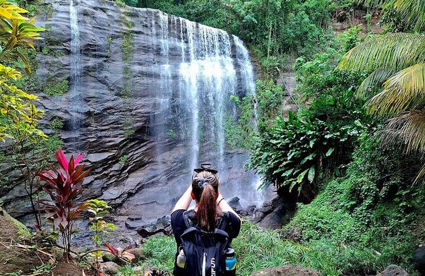 Chasing Waterfalls Tour in Grenada