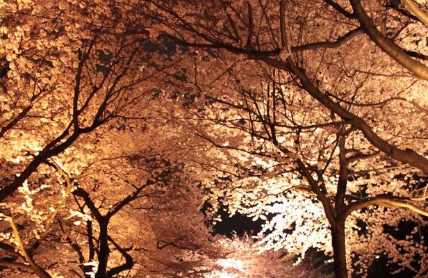Quiet Highlights Walking Tour in Kanazawa