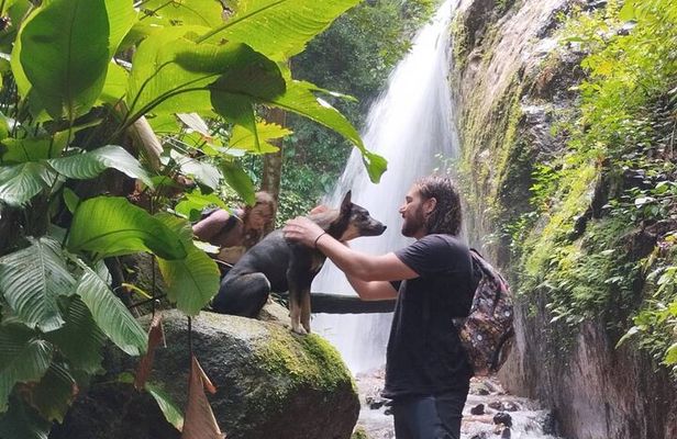 Wild Adventures: Doi Saket Hidden Jungle Trek & Waterfall