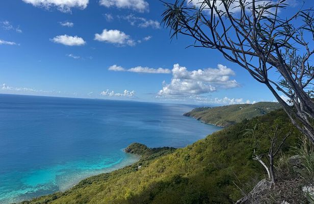 Brewers Cave Hike & Snorkel with Sea Turtles