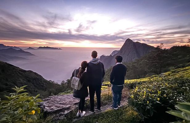 Munnar 2 Day Private Tour Tea Plantation and Kolukkumalai Sunrise