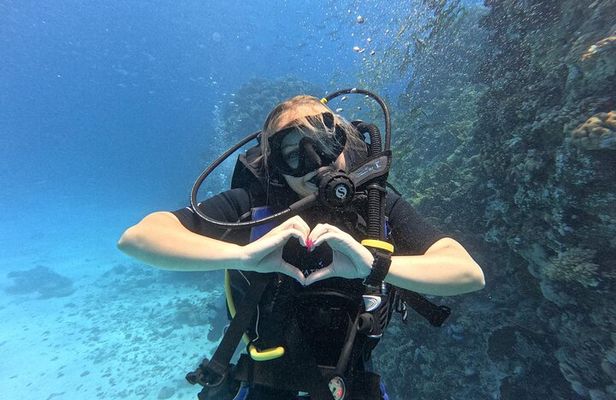 PADI Advanced Open Water Diver Course Hurghada . ENG - DE - FR