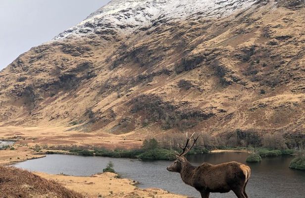 Private Guided Tours of Scotland Bespoke Adventures