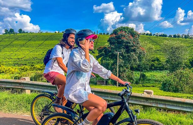 Tigoni Electric Bike Tours