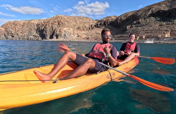 Kayaking in Palm Mar with Dolphin and Turtle Watching