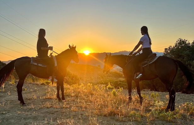 Free Range Horse Riding Tour