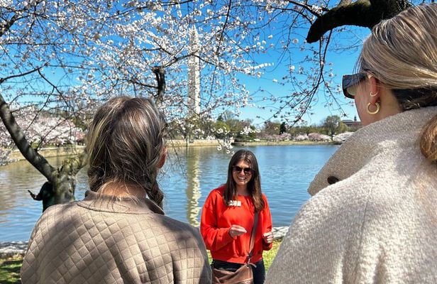 DC in Spring: Cherry Blossom & Tidal Basin Memorials Walking Tour